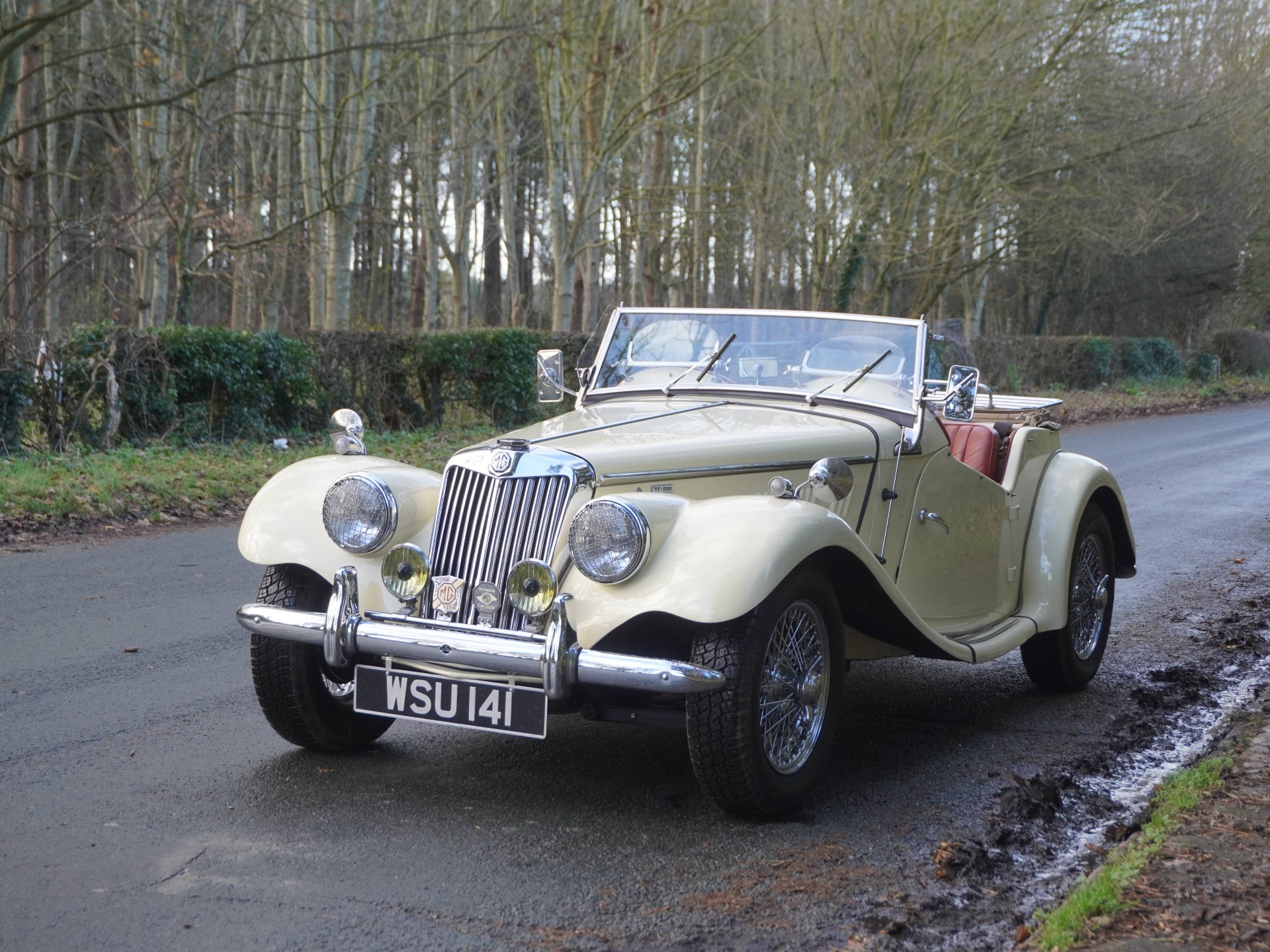 Cream 1954 MG TF 1500 registered WSU 141, front three-quarter view on a country lane